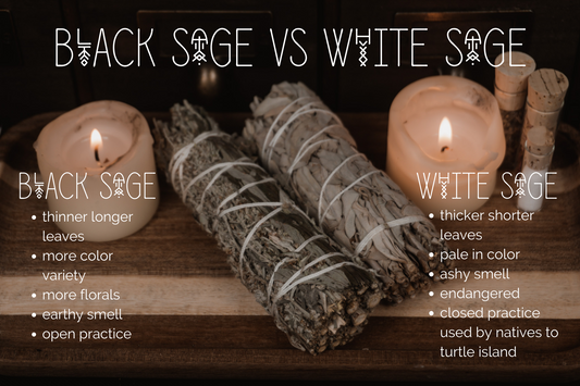 Black Sage Bundle